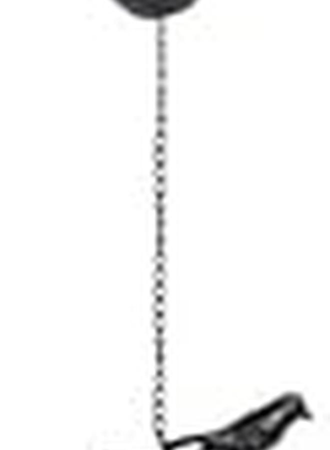 سلسلة مطر حديدية بتشكيل طائر لتصريف المزراب وزينة الحديقة - Image 3